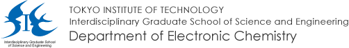 Department of Electronic Chemistry